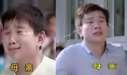 旺仔爆料东嫂视频,揭秘东嫂视频背后的惊人真相